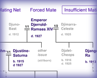 family tree